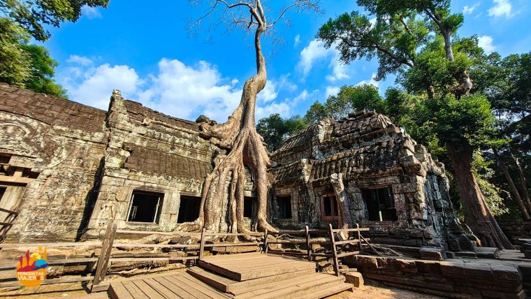 Ta Phrom, Angkor Wat, Camboya